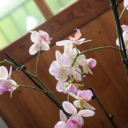 Les Songes De L'abbaye * Cadouin